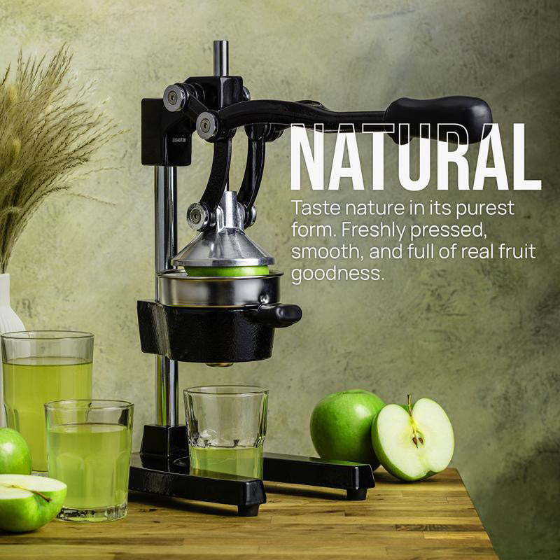 Professional Heavy-Duty Cast Iron Citrus Juicer